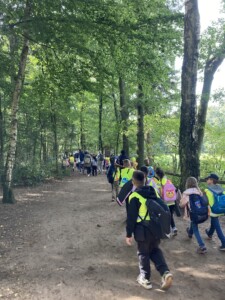 Die Grundschule besucht die Naturerlebnisstätte Wildpark Eekholt