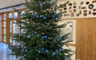 Es weihnachtet...