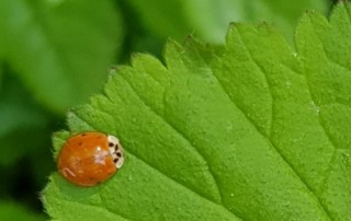 Naturnaher Unterricht